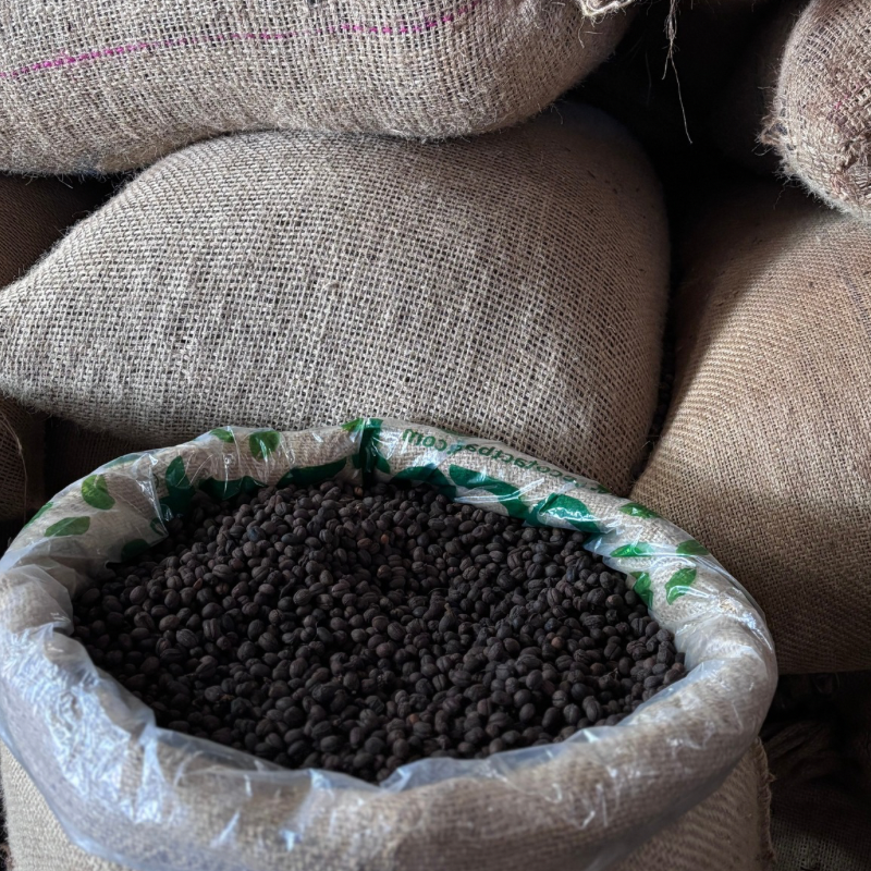 Café de spécialité d'Ethiopie.